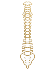Surgical Spine Care
