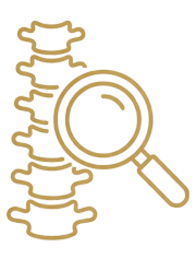 Spine Evaluation